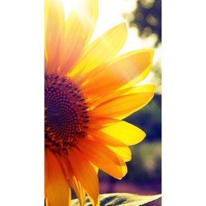 Meet your Posher, Delilah